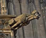 Kunst am Klner Dom - Wasserspeier.