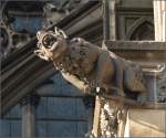 Kunst am Klner Dom - Wasserspeier.