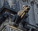 Kunst am Klner Dom - Wasserspeier.