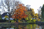 Schillerpark mit Teich im bunten Herbstkleid in Euskirchen - 22.11.2017