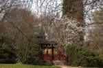 Frhling im  Japanischen Garten  im Leverkusener Carl-Duisberg-Park.