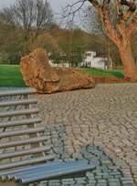 Alter Baum-Bestand nebst Wurzel auf der Hardt in Wuppertal (Stadt-Park).