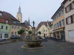 Meisenheim, Brunnen und Huser am Rapportierplatz (26.07.2025)