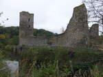 Hundheim, Burg Baldenau, Ruine einer Niederungsburg von 1315 (09.10.2025)