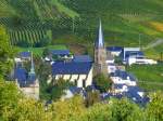 Deutschland, Rheinland-Pfalz, Lieser an der Mosel.