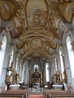 Springiersbach, Innenraum der Klosterkirche, Deckenmalereien von Franz Freund (03.10.2016)