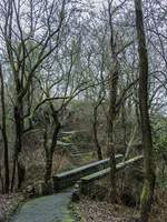 Der Gehweg direkt zur Burgruine Idar-Oberstein.