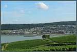 Blick von den Weinbergen bei Rdesheim auf die Stadt Bingen.