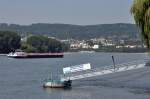 Rhein bei Neuwied, im Hintergrund am Rheinbogen der Ort Feldkirchen - 22.08.2013