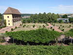 Blieskastel, Orangerie und Barockgarten am Schloss (14.07.2023)