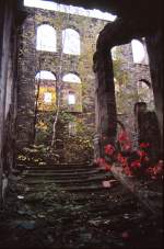 Ruine an der Frauenkirche in Dresden zu DDR-Zeiten.