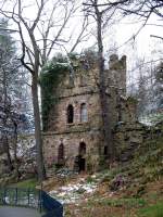 Die Ruine der alten Gattersburg in Grimma, die zwischenzeitlich als Behausung fr Bren diente.