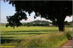 Blick vom Feldrain bei Grnberg hinber zur weithin bekannten Augustusburg, der  Krone des Erzgebirges .