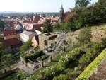 Pirna, Terrassengrten am Schlo Sonnenstein (02.10.2020)