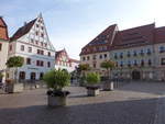 Pirna, historische Huser am Marktplatz (02.10.2020)