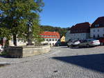 Lauenstein, Falknerbrunnen von 1912 am Marktplatz (04.10.2020)