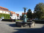 Dohna, Fleischerbrunnen von 1911 am Marktplatz, Figurenbrunnen von Alexander Hfer (04.10.2020)
