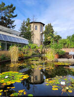 Im Botanischen Garten von Halle (Saale).