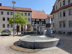 Haldensleben, Brunnen und Huser am Marktplatz (11.08.2025)