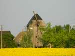 Alte Mhle schaut aus dem Rapsfeld, stlich von Grogrschen am 25.04.2014.