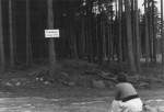 Im Harz, einige Jahre vor dem Mauerbau:  Zonengrenze - Betreten verboten!  Rechts im Bild sitzt meine Oma.