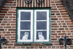 Gaube am Friesenhaus mrang Hs im Dorf Nebel auf der Nordseeinsel Amrum.