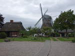 Munkbrarup, Windmühle Hoffnung, Kellerholländer Windmühle, erbaut 1868 (25.09.2020)