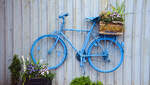 Bretterzaun mit Fahrrad an der Langen Strae in Arnis (Angeln).