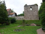 Winterstein, Ruine der Wasserburg der Herren von Wangenheim (05.06.2022)