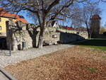 Stadtilm, Reste der Stadtmauer am Zinsboden (17.04.2022)