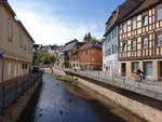 Stadtroda, Fachwerkhuser in der Strae in den Grten (20.10.2022)