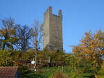 Burgruine Tautenburg im Tautenburger Forst, erbaut im 12.