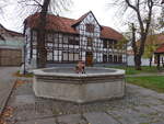 Thamsbrck, Fachwerkhaus und Brunnen am Kirchplatz (14.11.2022)