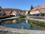 Am Dorfweiher von Saalborn, Weimarer Land (17.04.2022)