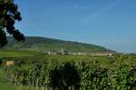 St.Pilt (Saint-Hippolyte), der bekannte Weinort liegt am Fue der Hohknigsburg an der Elser Weinstrae, Sept.2011