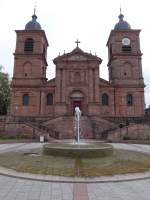 Saint-Di-des-Vosges, Kathedrale St.