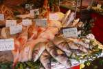 Verschiedene Fische ganz frisch von der Kste nach Paris gebracht und am Samstagmorgen auf dem Markt angeboten.