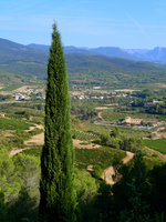 Blick auf das Tal mit Saint Chinian mit seinen Weinbergen.