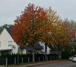 Bunter Herbst in Hamburg, im Stadtteil Billstedt am 23.10.2020 /