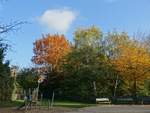 Bunter Herbst in Hamburg, im Stadtteil Billstedt am 27.10.2020 /