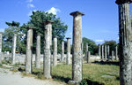 Sulen in der antikken Stadt Olympia auf Peloponnes.