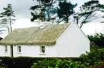 Reetdachhaus in Clifden.