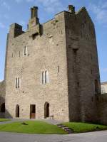 Roscrea Castle, Grafschaft Tipperary (13.10.2007)