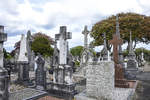 Glasnevin ist der grte Friedhof Irlands, er ist etwa 50 ha gro.