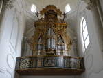Gravina di Puglia, Orgel in der Pfarrkirche San Francesco (29.09.2022)