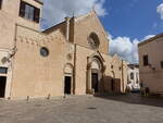 Galatina, Basilika Santa Caterina, erbaut von 1383 bis 1391 (02.03.2023)