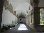 Viterbo, Kreuzgang im Santuario della Madonna della Quercia (24.05.2022)