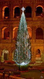 Dieser Weihnachtsbaum wurde im Dezember 2015 in Rom vor dem Kolosseum aufgestellt.