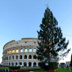 Vor dem Kolosseum in Rom stand im Dezember 2015 dieser Weihnachtsbaum.