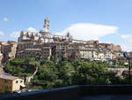 Siena, Ausblick von der Via Camporegio auf den Dombezirk (17.09.2019)